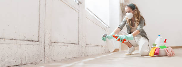 Environmental Consulting for Mold Prevention in Westphalia, MD